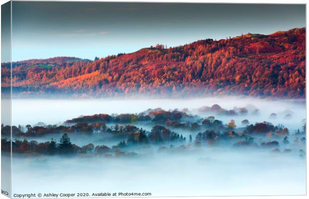 Misty Autumn Canvas Print by Ashley Cooper