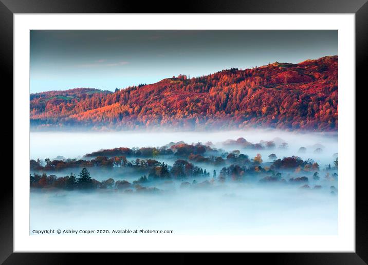 Misty Autumn Framed Mounted Print by Ashley Cooper