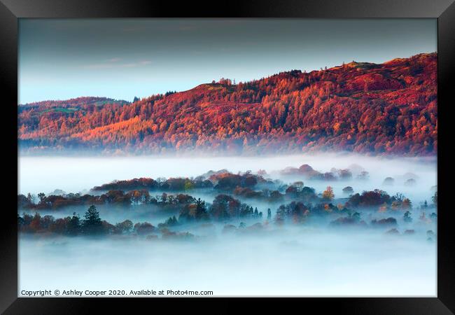 Misty Autumn Framed Print by Ashley Cooper