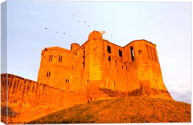 Warkworth Castle Canvas Print by Ashley Cooper
