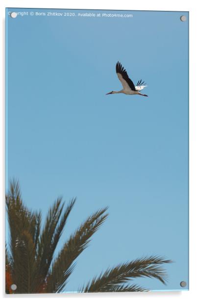 Flying stork. Acrylic by Boris Zhitkov