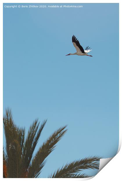 Flying stork. Print by Boris Zhitkov