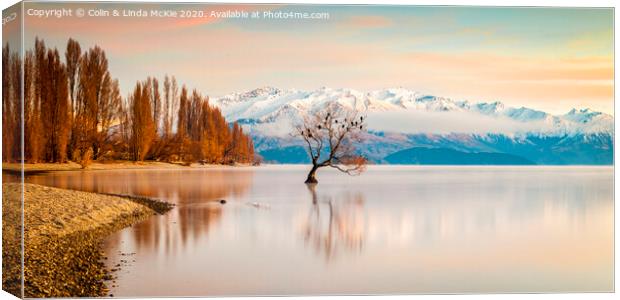 Lake Wanaka, Otago, New Zealand Canvas Print by Colin & Linda McKie
