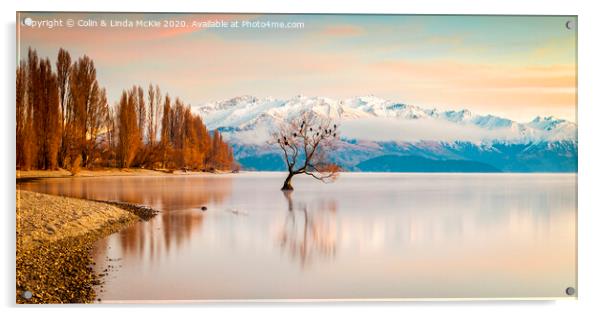 Lake Wanaka, Otago, New Zealand Acrylic by Colin & Linda McKie