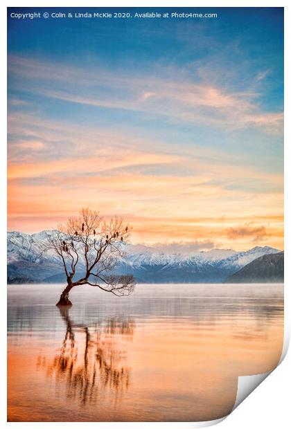 Lake Wanaka Otago New Zealand Print by Colin & Linda McKie
