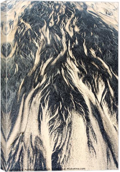 sand tree Canvas Print by Ashley Cooper