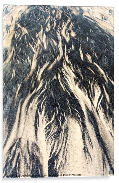 sand tree Acrylic by Ashley Cooper