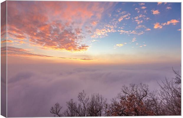 Fluffy clouds over the forest Canvas Print by Arpad Radoczy