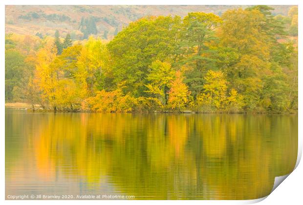Autumn Trees at Rydal Water Print by Jill Bramley