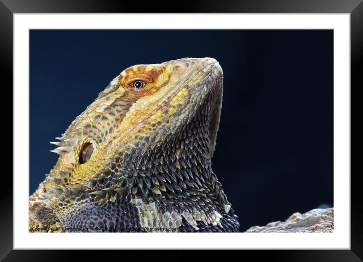 The Dragon 2 Framed Mounted Print by Christopher Kelly