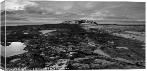 Hilbre on the Rocks Canvas Print by Liam Neon