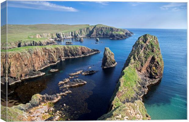 Sea Cliffs at Westerwick, Shetland Islands Canvas Print by Arterra 