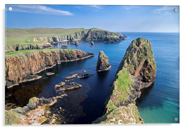 Sea Cliffs at Westerwick, Shetland Islands Acrylic by Arterra 