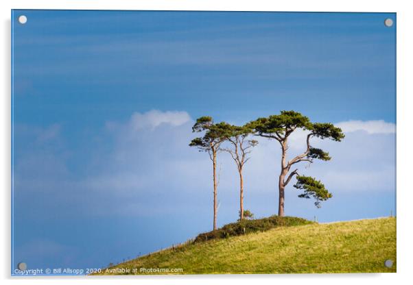 Three trees. Acrylic by Bill Allsopp