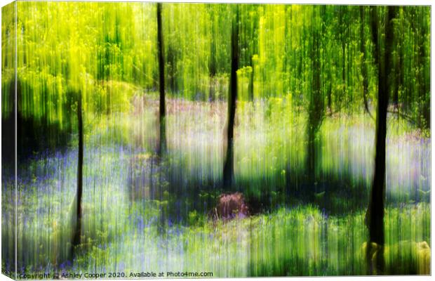 Woodland dreams Canvas Print by Ashley Cooper