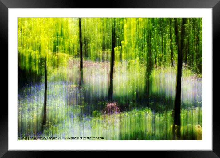 Woodland dreams Framed Mounted Print by Ashley Cooper