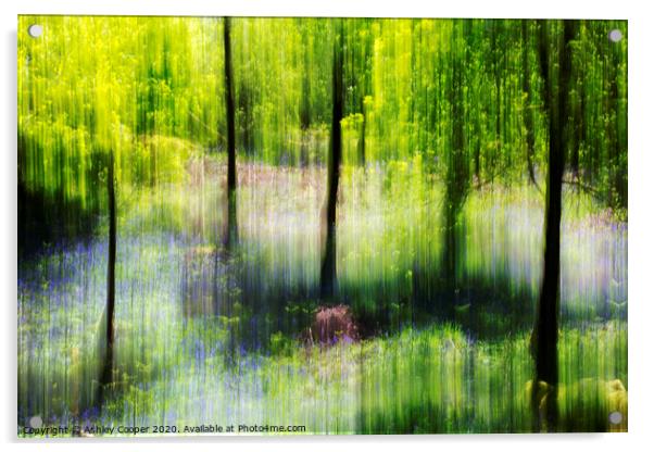 Woodland dreams Acrylic by Ashley Cooper