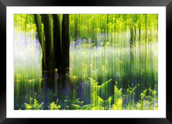 Woodland ferns Framed Mounted Print by Ashley Cooper