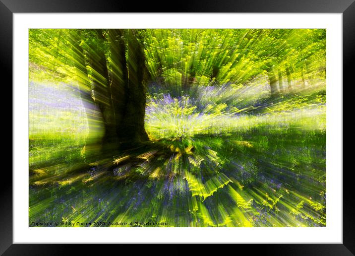 Plant tree Framed Mounted Print by Ashley Cooper