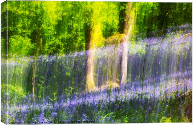 Blue woods. Canvas Print by Ashley Cooper
