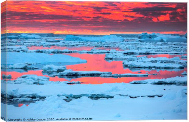 Sea ice sunset. Canvas Print by Ashley Cooper