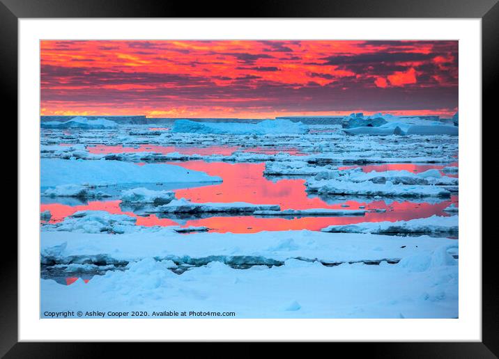 Sea ice sunset. Framed Mounted Print by Ashley Cooper