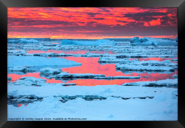 Sea ice sunset. Framed Print by Ashley Cooper