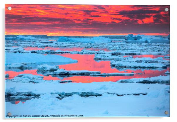 Sea ice sunset. Acrylic by Ashley Cooper