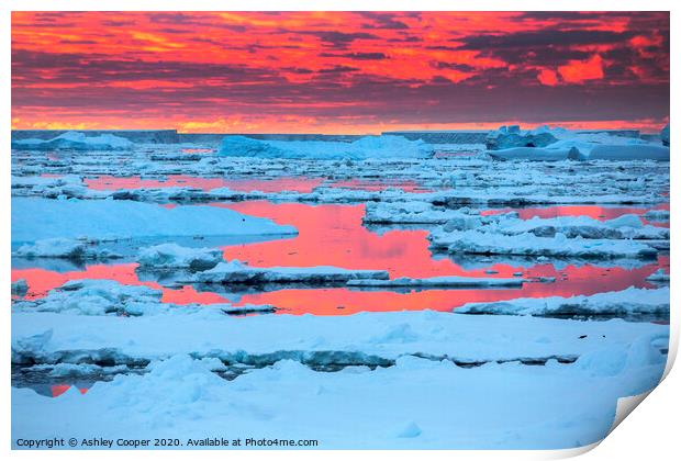 Sea ice sunset. Print by Ashley Cooper