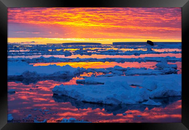 Antarctic sunset Framed Print by Ashley Cooper