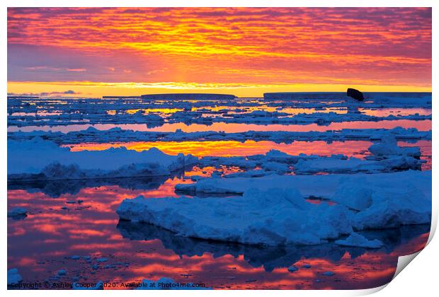 Antarctic sunset Print by Ashley Cooper