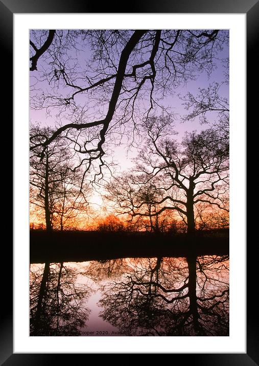 pond reflections Framed Mounted Print by Ashley Cooper