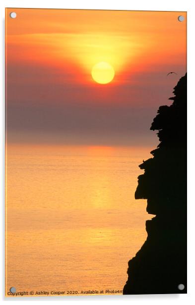 Sea cliffs Acrylic by Ashley Cooper
