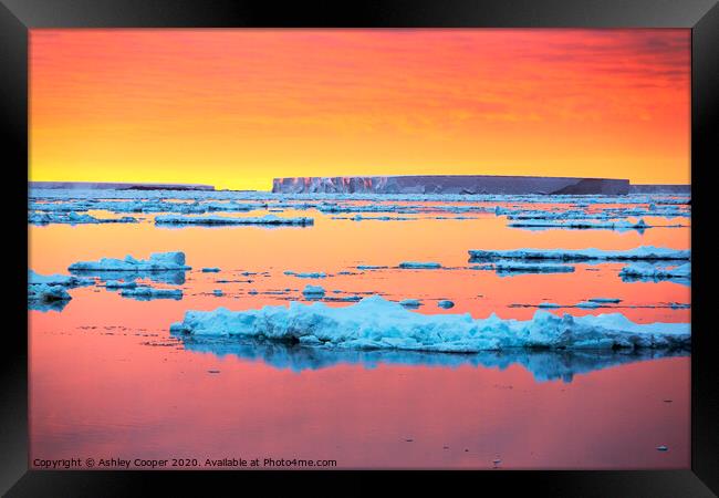 Antarctic sunset tabular. Framed Print by Ashley Cooper