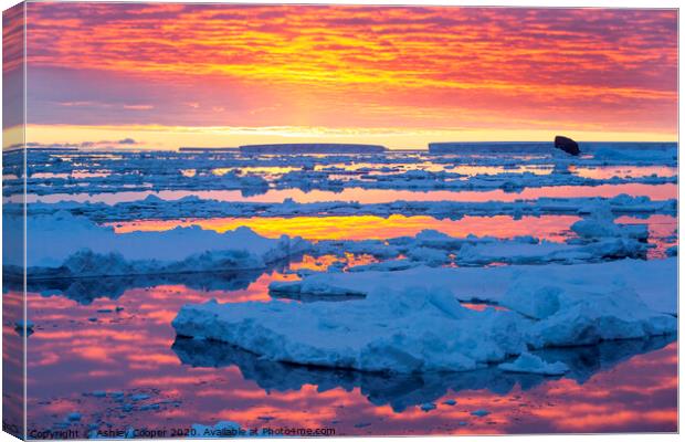 glowing bergs. Canvas Print by Ashley Cooper