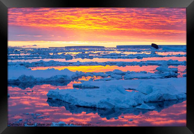 glowing bergs. Framed Print by Ashley Cooper