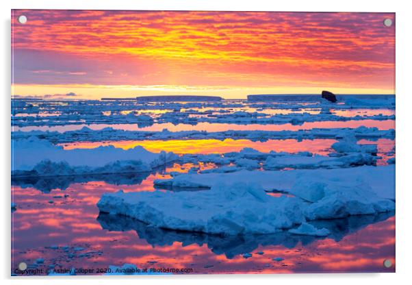 glowing bergs. Acrylic by Ashley Cooper