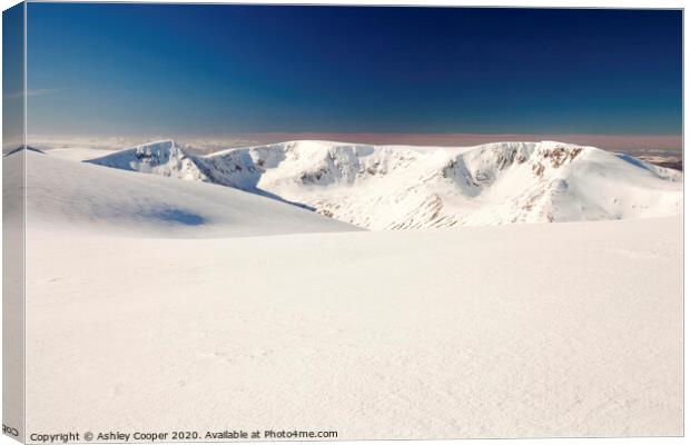 Cairngorms Canvas Print by Ashley Cooper