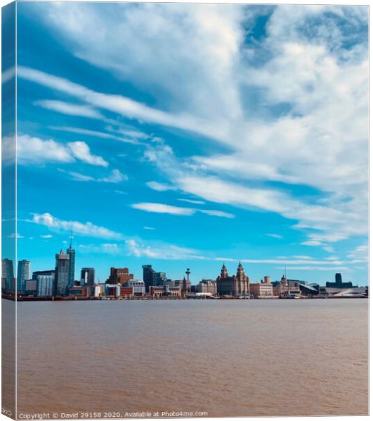 Liverpool Skyline Canvas Print by David Bennett