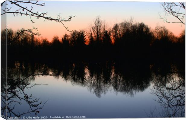 Red sky over Cotswold lake Canvas Print by Ollie Hully