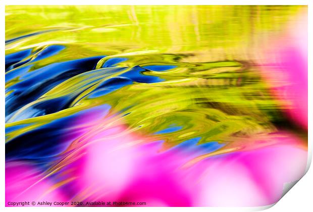pink weir Print by Ashley Cooper