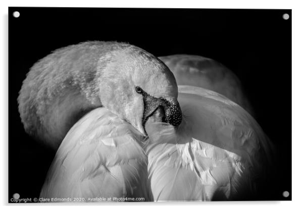Odette - Swan Acrylic by Clare Edmonds