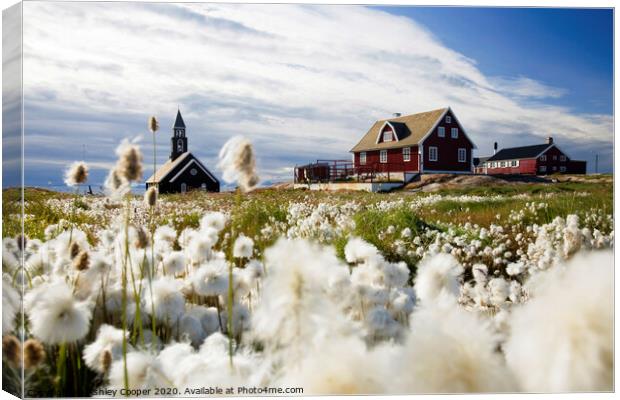 Cottongrass church Canvas Print by Ashley Cooper