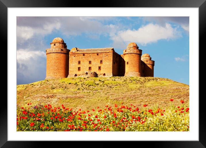 La Calahorra Castle poppies. Framed Mounted Print by Ashley Cooper