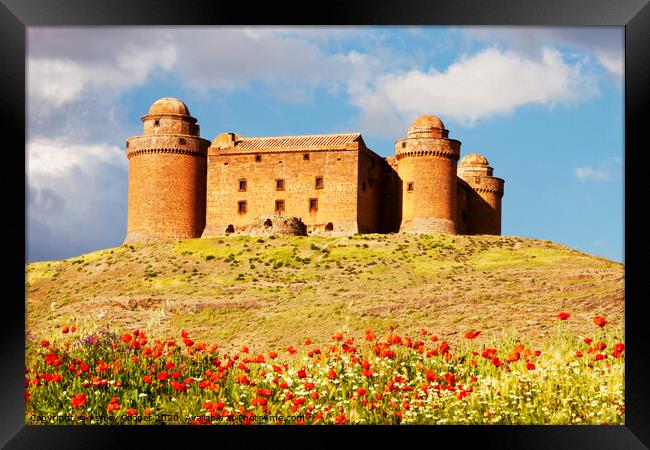 La Calahorra Castle poppies. Framed Print by Ashley Cooper