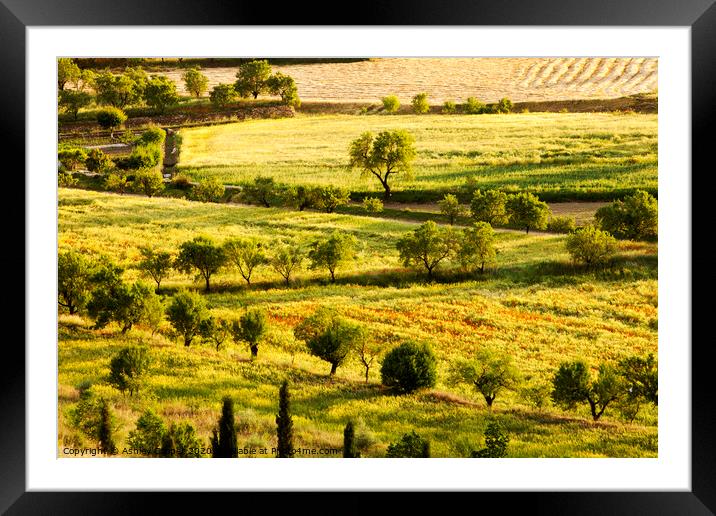 Rural. Framed Mounted Print by Ashley Cooper