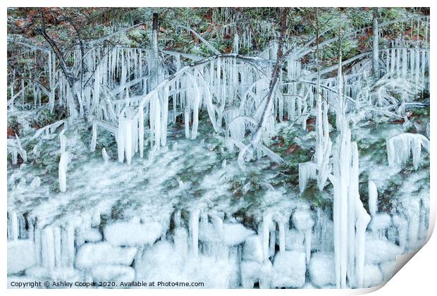 ice wall Print by Ashley Cooper