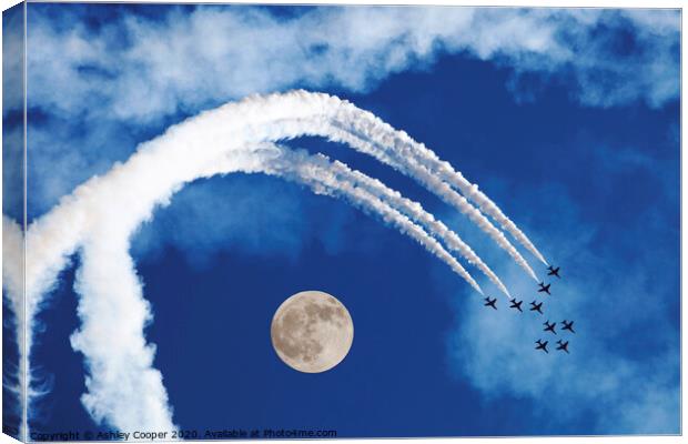 Fly the moon. Canvas Print by Ashley Cooper