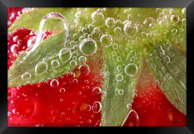 Strawberries in water close up Framed Print by Simon Bratt LRPS