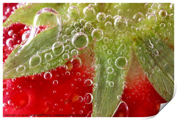 Strawberries in water close up Print by Simon Bratt LRPS